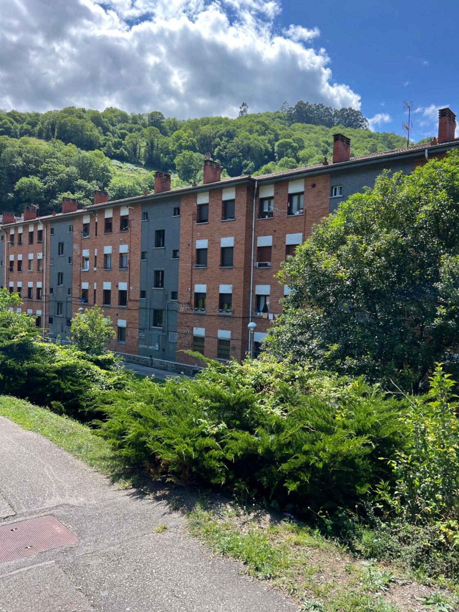 Mountain View Apartment Mieres  Esterno foto